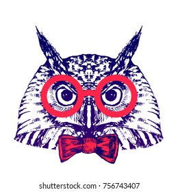 Hand drawn owl portrait with red glasses and bowtie, isolated on white, vector illlustration