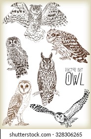 Hand drawn owl vector set