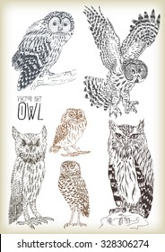 Hand drawn owl vector set