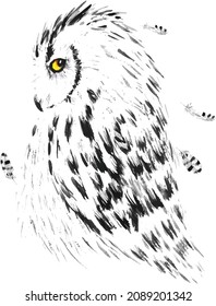 Hand drawn owl, watercolor sketch, vector illustration. Black and white