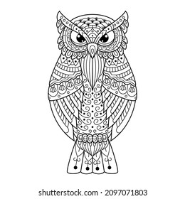 Hand drawn of owl in zentangle style