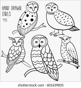 Hand drawn owls. Sketch style vector illustration for designs, posters, cards etc