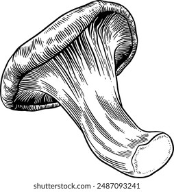 Hand drawn Oyster Mushroom Sketch Illustration