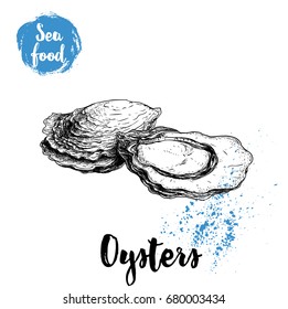 Hand drawn oysters composition. Seafood sketch style illustration. Fresh marine mollusks in closed and opened shells. 