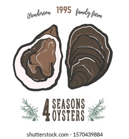 Hand drawn oysters isolated, white background. Vintage oyster shell illustration, great design for any purposes . 4 seasons mollusk. Vector icon. Linear sketch for restaurant and farm menu.