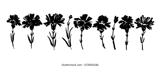 Сarnation hand drawn paint vector set. Ink drawing flowers and plants, monochrome artistic botanical illustration. Isolated floral elements, hand drawn illustration. Brush strokes silhouette.