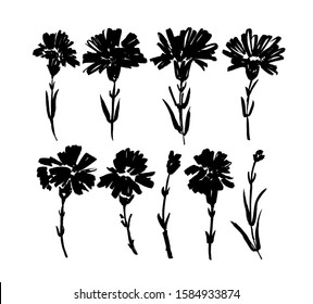 Сarnation hand drawn paint vector set. Ink drawing flowers and plants, monochrome artistic botanical illustration. Isolated floral elements, hand drawn illustration. Brush strokes silhouette.