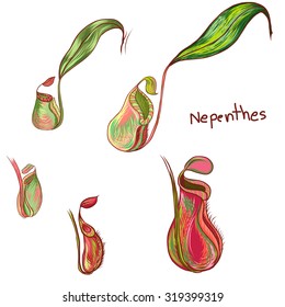 Hand drawn and painting Nepenthe vector set