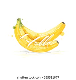 Hand drawn painting on white background. Vector of fruit banana