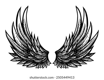 Hand drawn pair angel wings, vector illustration isolated on white