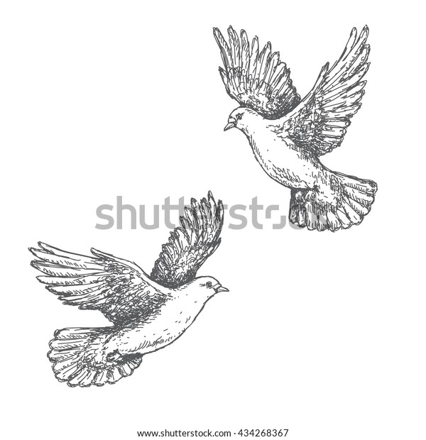 Hand Drawn Pair Flying Doves Isolated Stock Vector Royalty Free 434268367 