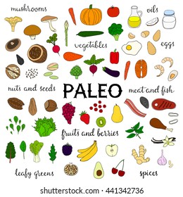 Hand drawn paleo diet food isolated on white background. Vegetables, fruits, berries, nuts, seeds, leafy greens, meat, seafood, fish, mushrooms, spices, oils.