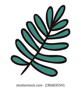 Hand Drawn palm leaves from the top view in doodle style isolated on background