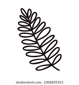 Hand Drawn palm leaves from the top view in doodle style isolated on background