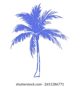 Hand drawn palm tree in chalk sketch vector style. Tropical coconut tree outline icon. Summer line art drawing for beach resort branding, stickers, surf posters, coastal designs.