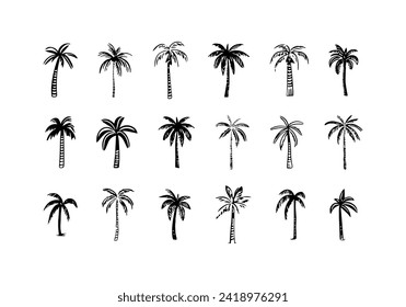 Hand drawn palm tree doodle element set. Black and white hawaiian clipart, isolated summer vacation collection in vintage art style. Tropical plant painting illustration bundle.