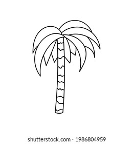 Palma de doodle dibujada a mano aislada en un fondo blanco. Ilustración vectorial colorida y divertida