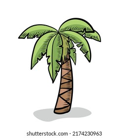 Hand Drawn Palm Tree Isolated 260nw 2174230963 