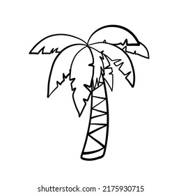 Hand Drawn Palm Tree Isolated on White background. Vintage Retro Outline Style Tropical Tree Illustration. Coconut or Banana Tree Design Element. Green Natural Plant of Tropical and Exotic Nature.