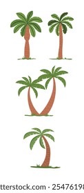 Hand drawn Palm tree item collection