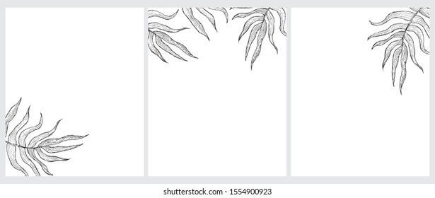 Hand Drawn Palm Tree Leaves Vector Illustrations.Black Sketched Tropical Tree Branches Isolated on a White Background. Simple Elegant Cards. Floral Hand Drawn Arts ideal for Invitation, Menu. No Text.