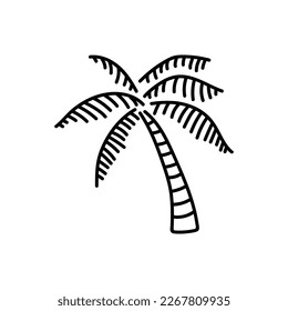 Hand drawn palm tree logo, icon, vector illustration