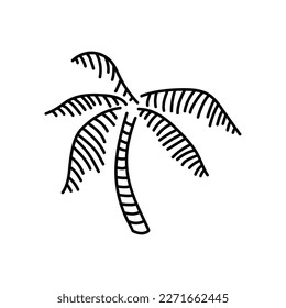 Hand drawn palm tree logo, icon, vector illustration