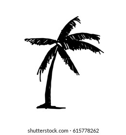 Hand drawn palm tree rough texture