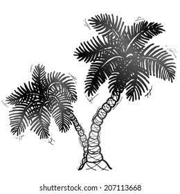 Hand drawn palm tree. Sketch of palm in doodle style. 