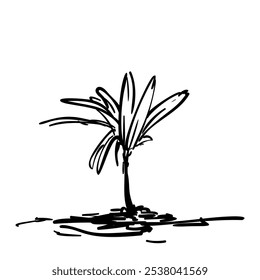 Hand drawn palm tree sprout, Vector sketch