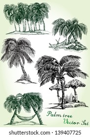 hand drawn palm tree vector set