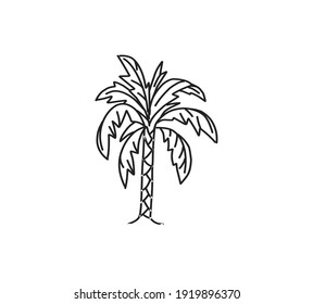 Hand drawn of palm tree vector illustrations