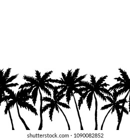 Hand drawn palm trees border isolated on white. Vector illustration