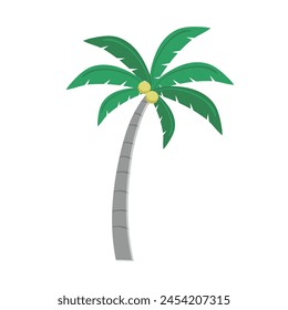 Hand drawn palm trees with coconut on a white background.