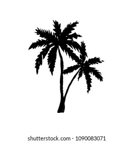 Hand drawn palm trees isolated on white. Vector illustration