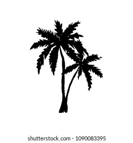 Hand drawn palm trees isolated on white. Vector illustration