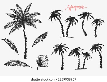 Hand drawn palm trees and leaves black ink sketch set. Summer holiday background. Exotic plants, island vacation, tropical flora, travel design.