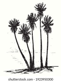 Hand drawn palm trees silhouette on beach. Ink black and white drawing