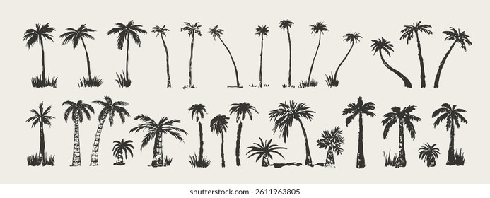 Hand drawn palm trees. Sketch palms. Design for logo, brand, card, book illustration, business identity. Vector icon.