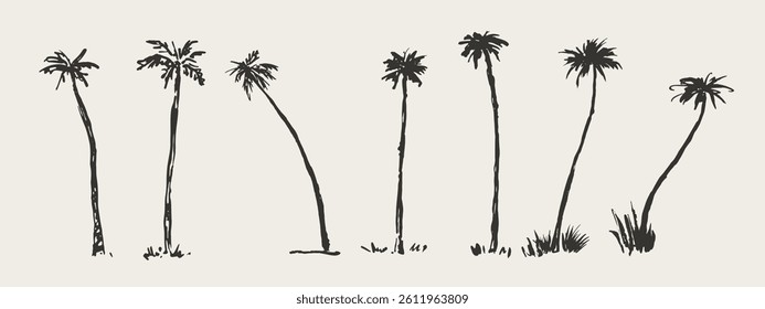 Hand drawn palm trees. Sketch palms. Design for logo, brand, card, book illustration, business identity. Vector icon.
