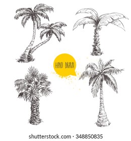 Hand drawn palm trees sketch set. Vector illustration on white background. Travel and vacation symbols.