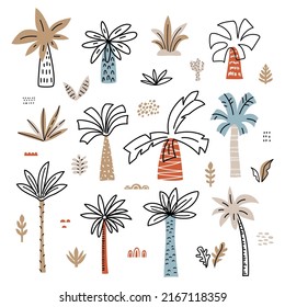 Hand drawn palm trees and tropical plants. Design elements for kids products and prints. Vector cartoon illustration.