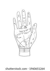 Hand drawn palmistry vector illustration. Palmistry - Line of life, heart, Line of love. Divination by hand illustration. Esoteric occult symbols on hand. Hand drawing. Vector.