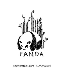 Hand drawn panda with bamboo. Vector illustration isolated on white. Panda Logo Design Inspiration.