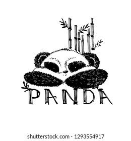 Hand drawn panda with bamboo. Vector illustration isolated on white. Panda Logo Design Inspiration.
