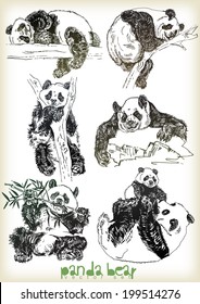 hand drawn panda bear vector set