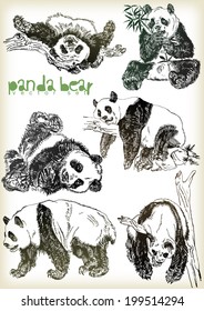 hand drawn panda bear vector set