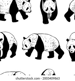 Hand drawn panda. Vector  seamless pattern. 