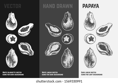 Hand drawn papaya icons set isolated on white, gray and black chalk background. Sketch of exotic fruits for packaging and menu design. Vintage vector illustrations.