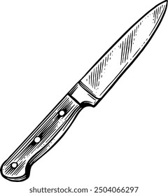 Hand drawn Paring Knife Sketch Illustration